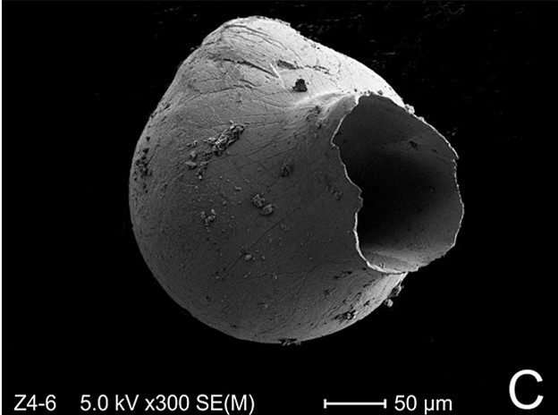 Scanning electron image of a cosmic spherule recovered from Argentina in sediments ~467 million years old. Image credit: Voldman et al., 2012.