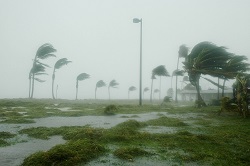 tropical storm 250