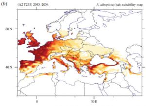 European map of simulated Aedes albopictus habitat suitability based on one future climate projection for the period 2045-2054.