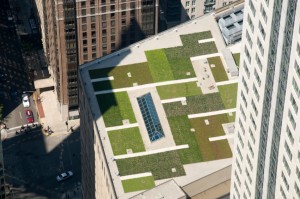 Green roof 