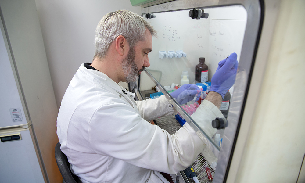 Researcher in lab at St Mary's