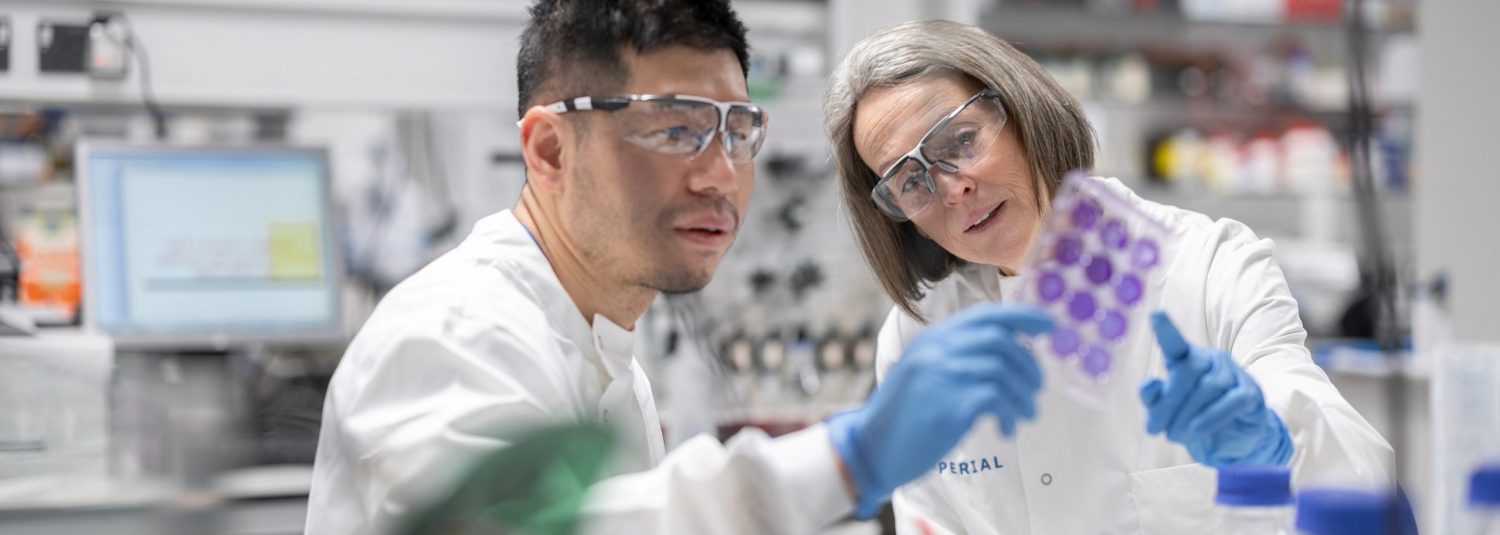 Blog banner_wendy@0.5x