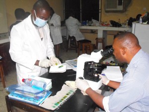 Technical teams assess worm prevalence through microscopes