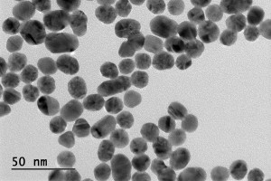 Figure 1. TEM image of colloidal gold nanoparticles