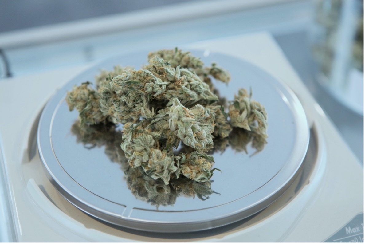 A small pile of medical cannabis on a dish