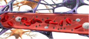 An image of a nanostar and blood-brain barrier