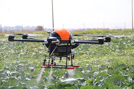A drone with four helicopter rotors in the process of spraying a field of cabbages. 