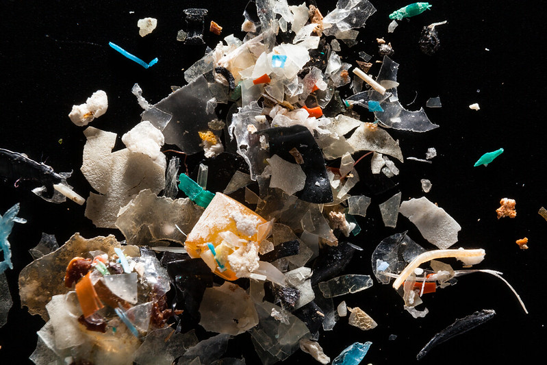 A close up of tiny fragments of plastic of all shapes and colours and textures, recovered from the Chesapeake Watershed in eastern North America. 