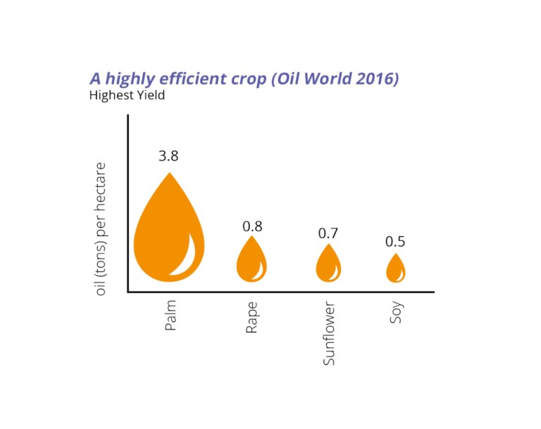 Comparison of palm oil yields to other vegetable oils.