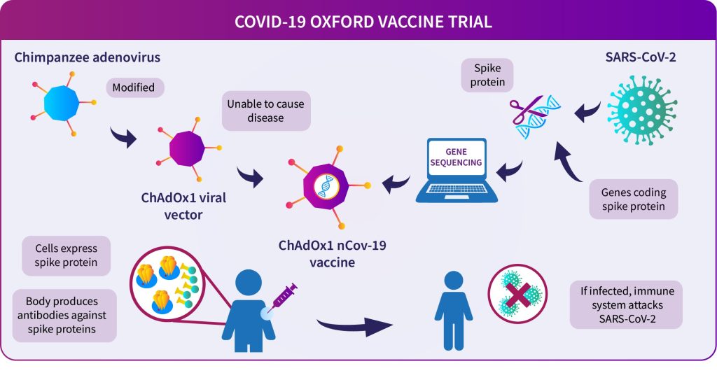ChAdOx1 technology used to create a COVID-19 vaccine. Image credit: University of Oxford.