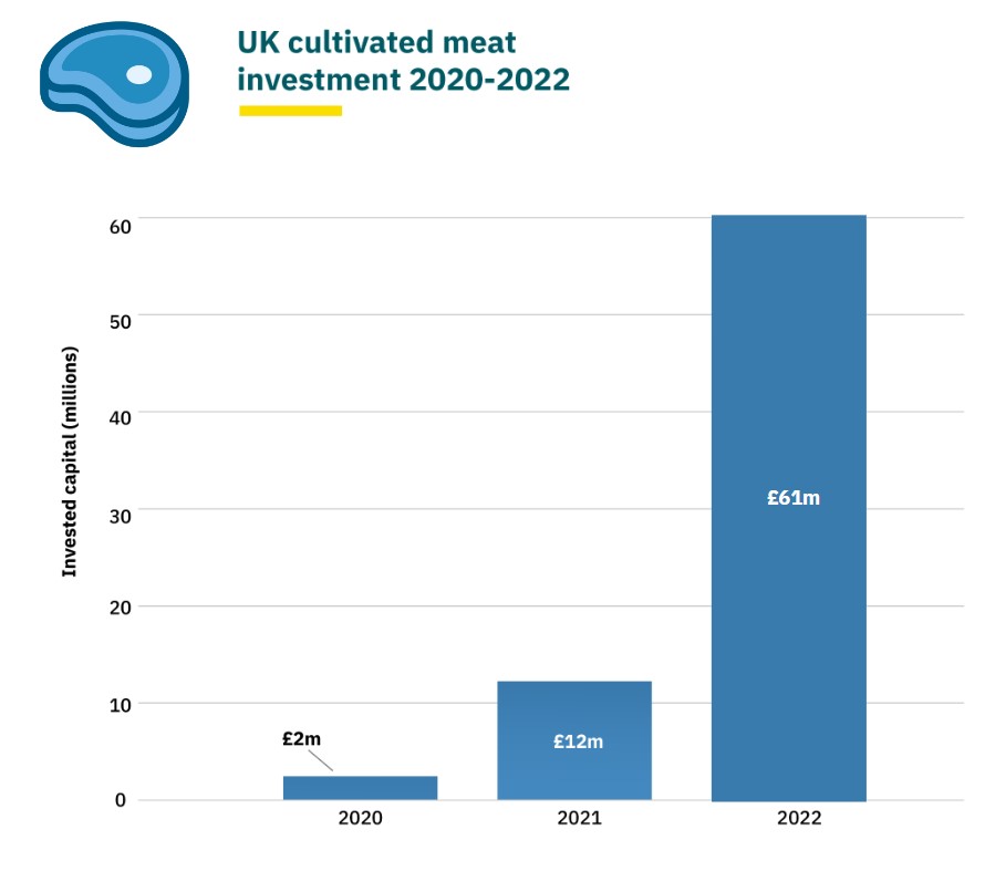 UK cultivated meat investment graph showing an increase from £2m in 2020 to £61m in 2022.