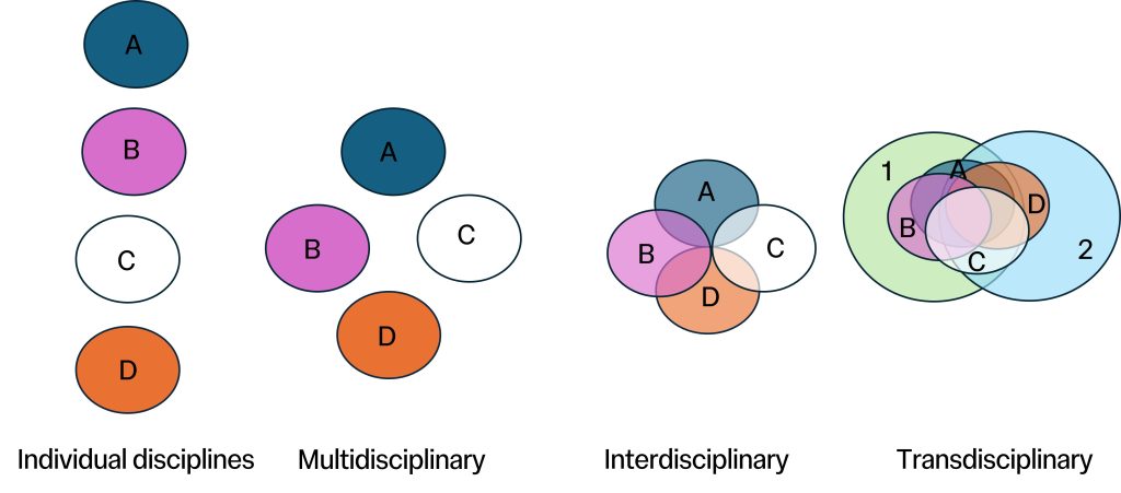 Differentiation between single disciplines, multidisciplinary, interdisciplinary and transdisciplinary approaches. 