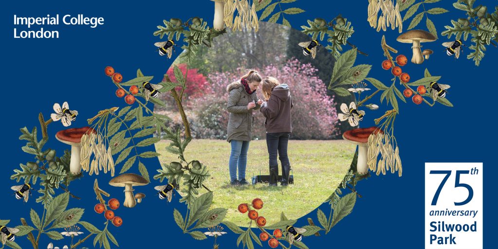 Image shows two students studying biodiversity in the UK countryside. It is surrounded by branding for Silwood Park's 75 anniversary celebration