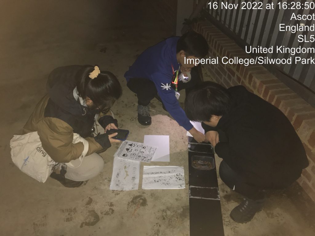 The team hard at work, trying to identify species based on the footprint.