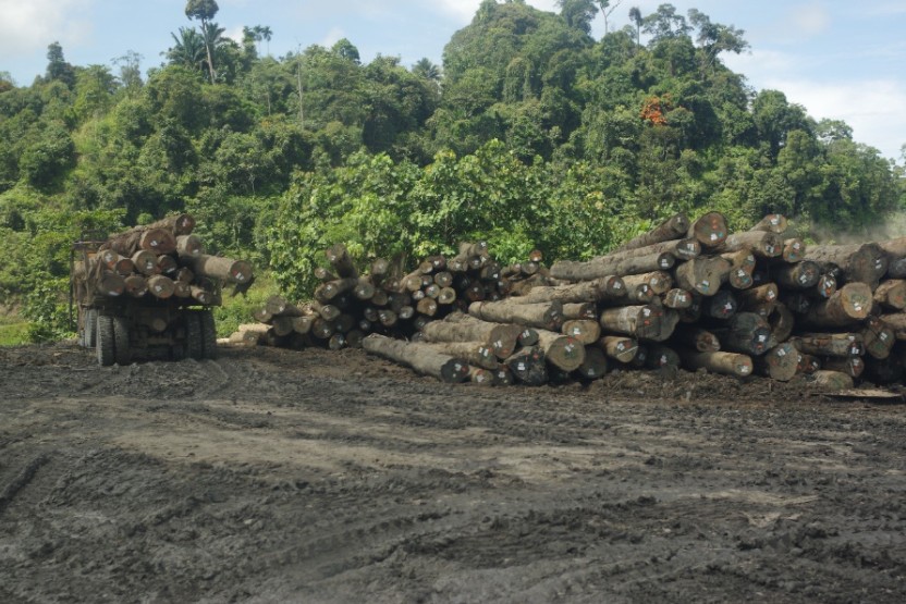 Log deck in the upland of Malaysia. Strong FPIC agreements can empower Indigenous communities during their negotiations with logging companies, for example, to reduce environmental impact or discuss benefit-sharing.