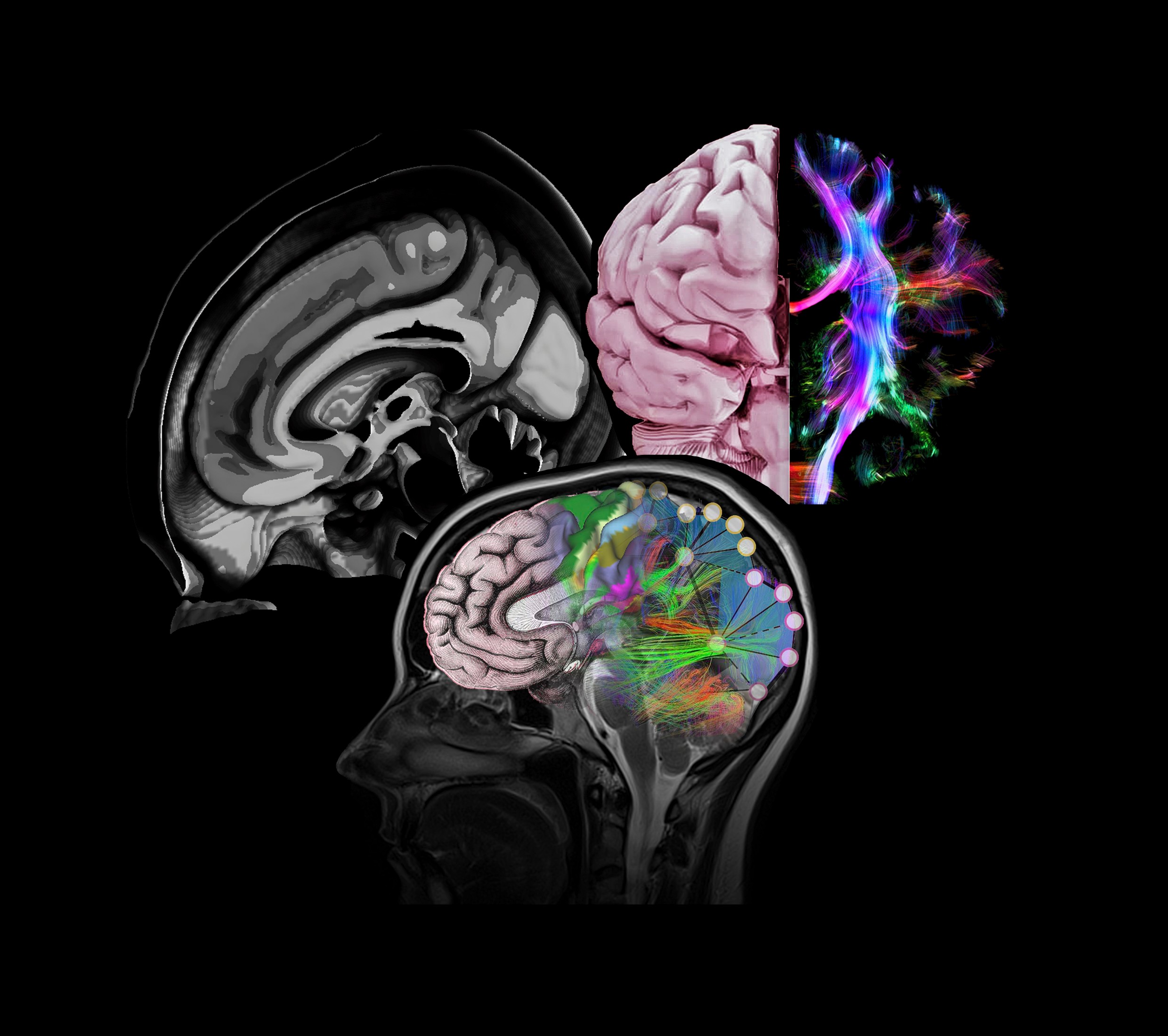 NeurOn Topic: Learning and Teaching - Page 2 of 3 - A neuroscience blog  from the Imperial (hippo)campus