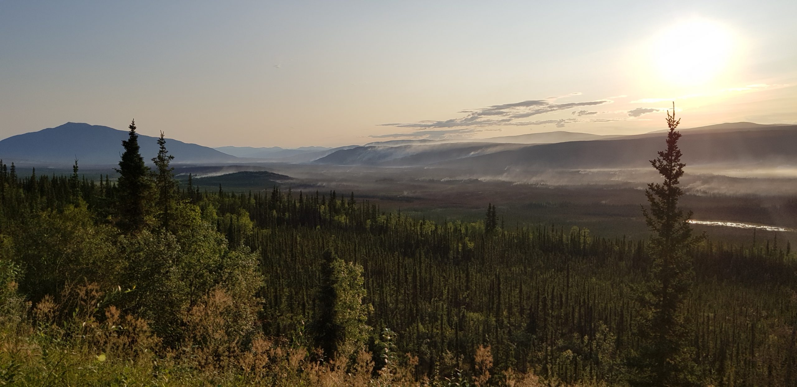Yukon wilderness - Copyright Leigh Bowman