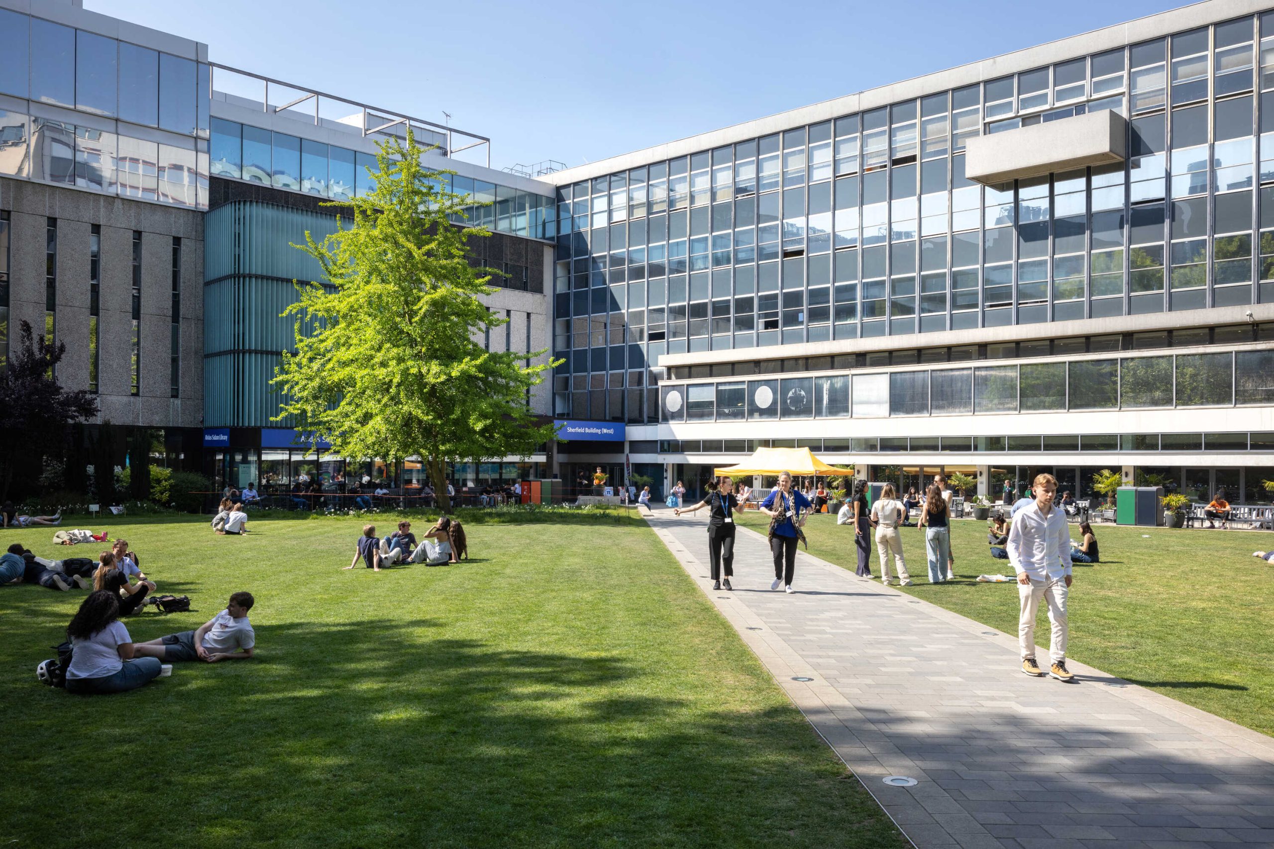 A grassy lawn in the sunshine with a walking path leading to some buildings