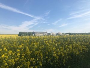 Biogas plant and field 