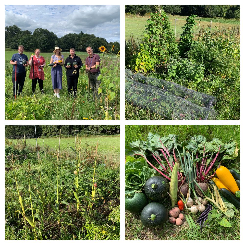 Silwood Park Allotments - Sustainable Imperial